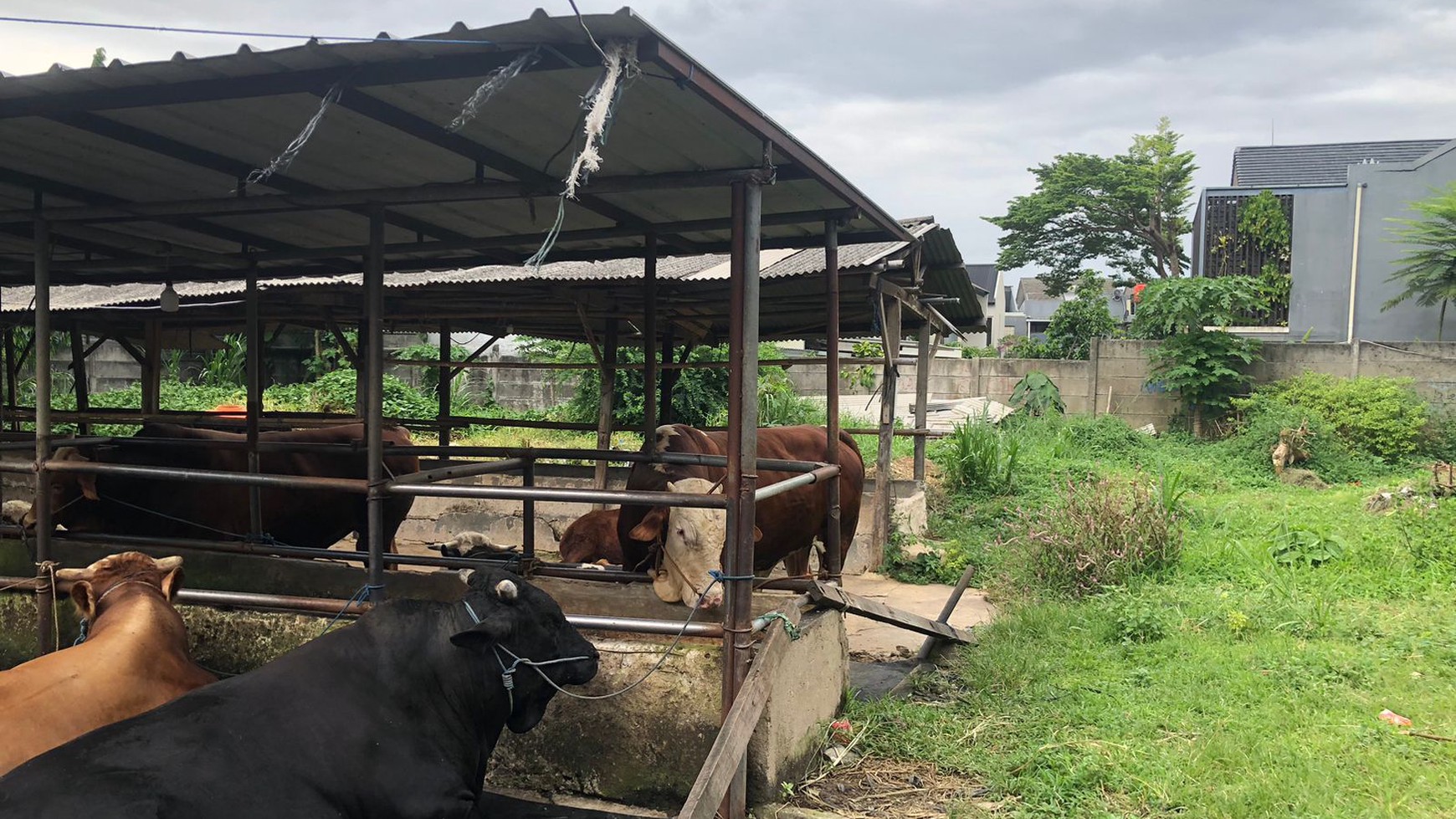 Kavling Siap Bangun Di Jl Jombang Raya Pondok Aren Tangerang Selatan