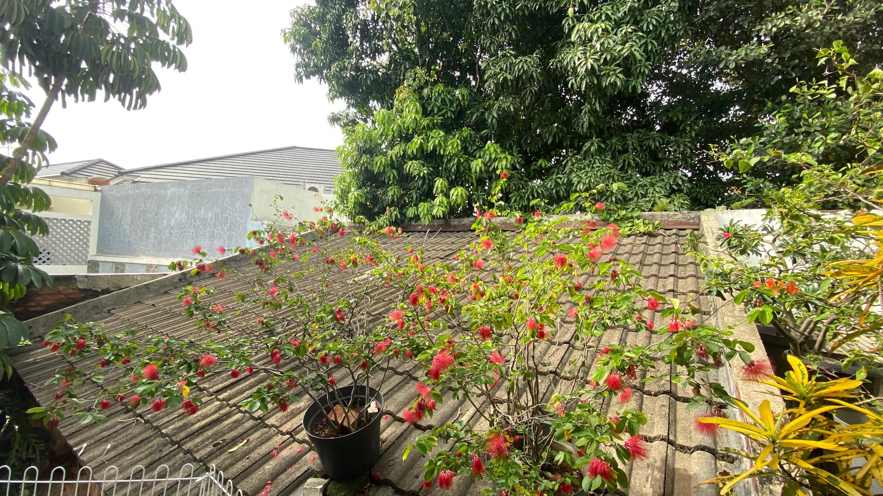 Rumah mewah siap huni di bintaro sektor 1