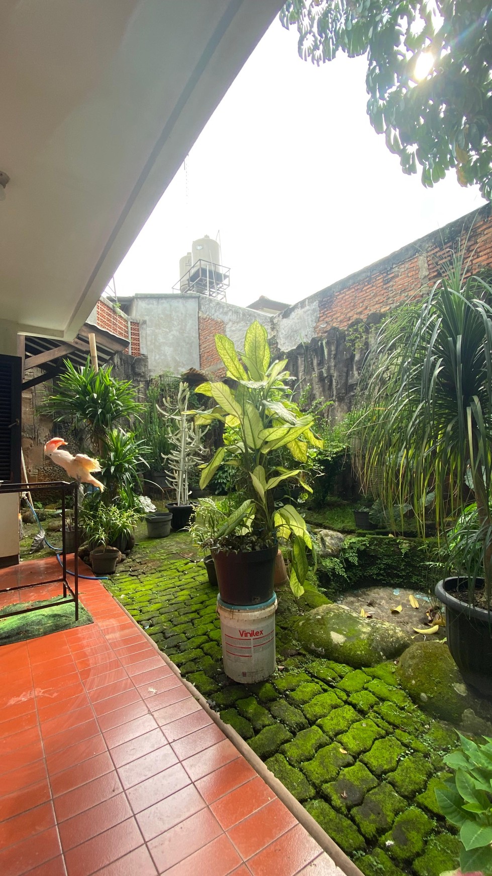 Rumah mewah siap huni di bintaro sektor 1