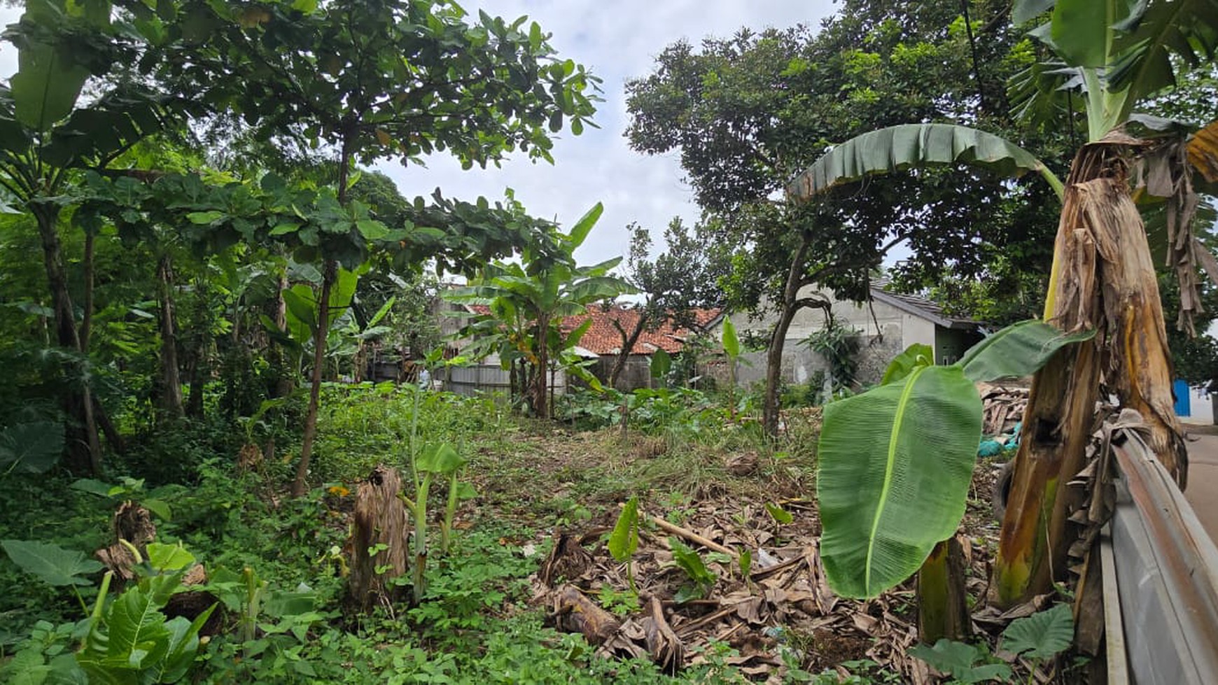 kavling cocok untuk Lapangan tenis, Badminton atau perumahan kecil di belakang TANAKAYU BSD City