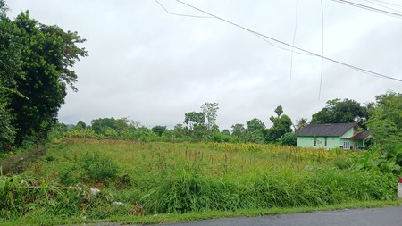 Tanah Sawah Luas 3169 Meter Persegi Lokasi Strategis Dekat Puskesmas