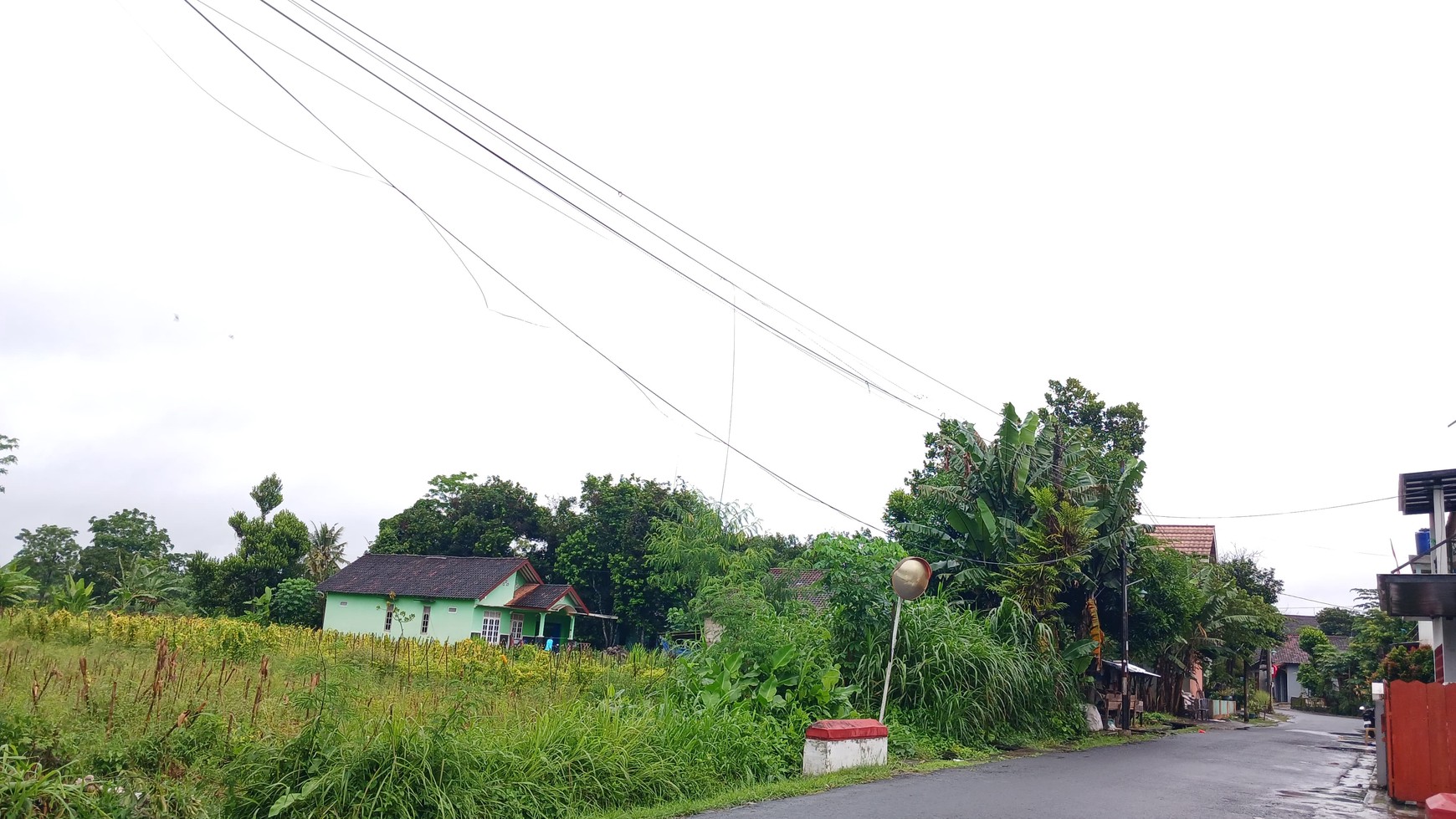 Tanah Sawah Luas 3169 Meter Persegi Lokasi Strategis Dekat Puskesmas