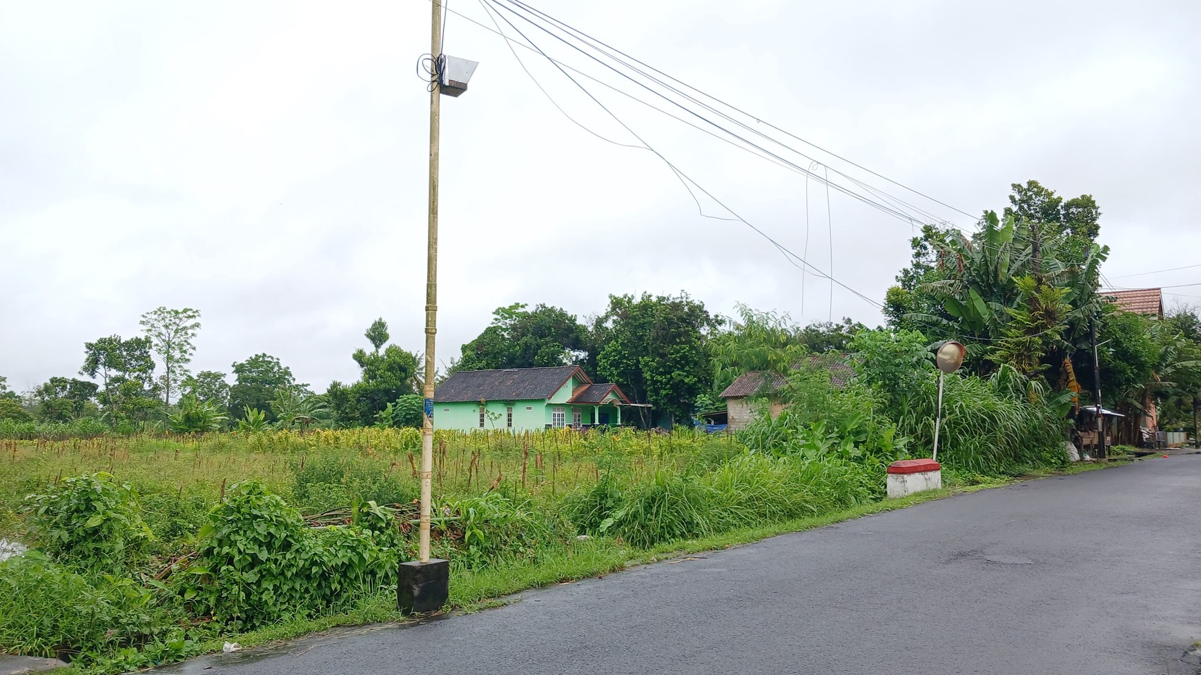 Tanah Sawah Luas 3169 Meter Persegi Lokasi Strategis Dekat Puskesmas