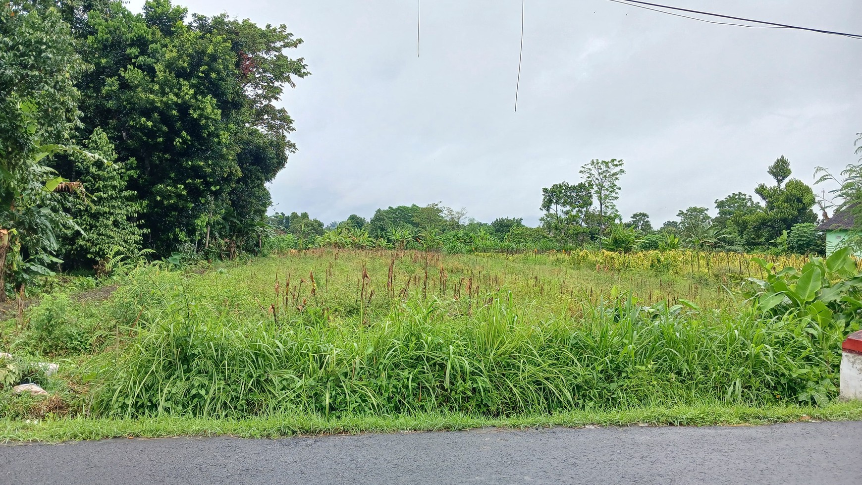 Tanah Sawah Luas 3169 Meter Persegi Lokasi Strategis Dekat Puskesmas