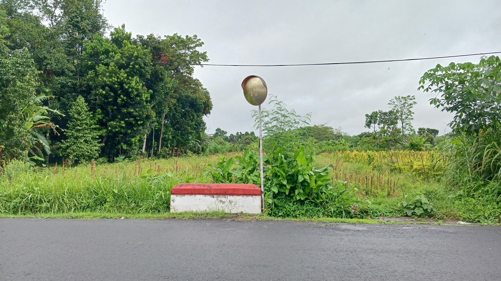 Tanah Sawah Luas 3169 Meter Persegi Lokasi Strategis Dekat Puskesmas