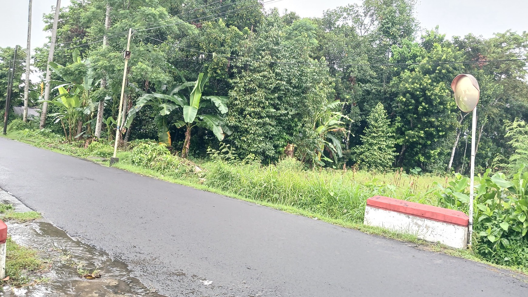 Tanah Sawah Luas 3169 Meter Persegi Lokasi Strategis Dekat Puskesmas