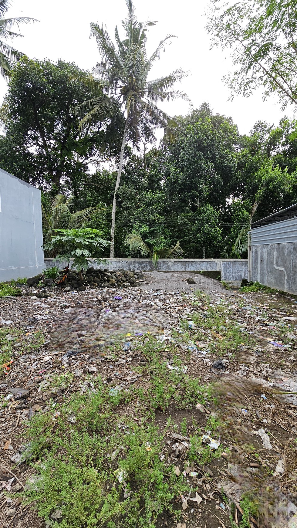 Tanah Cocok Untuk Rumah Di Burikan Sumberadi Dekat Pasar Cebongan Sleman