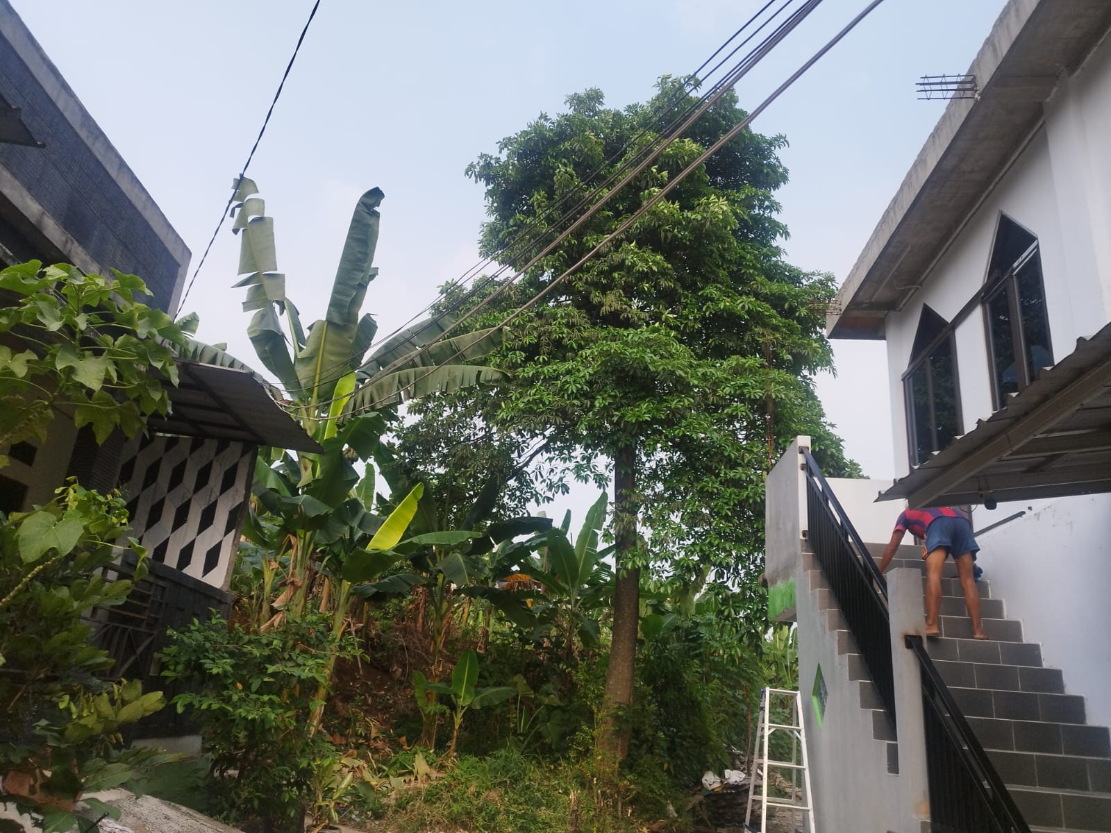 Rumah Asri Bogor