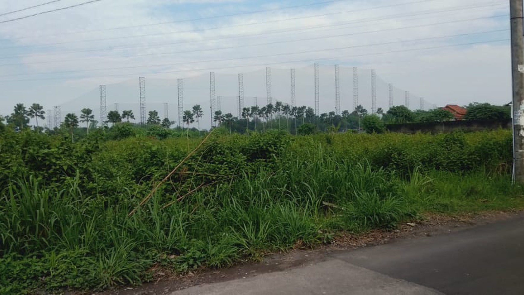 Tanah Sawah Luas 1800 Meter Persegi Lokasi Jl Sinduadi Mlati Sleman