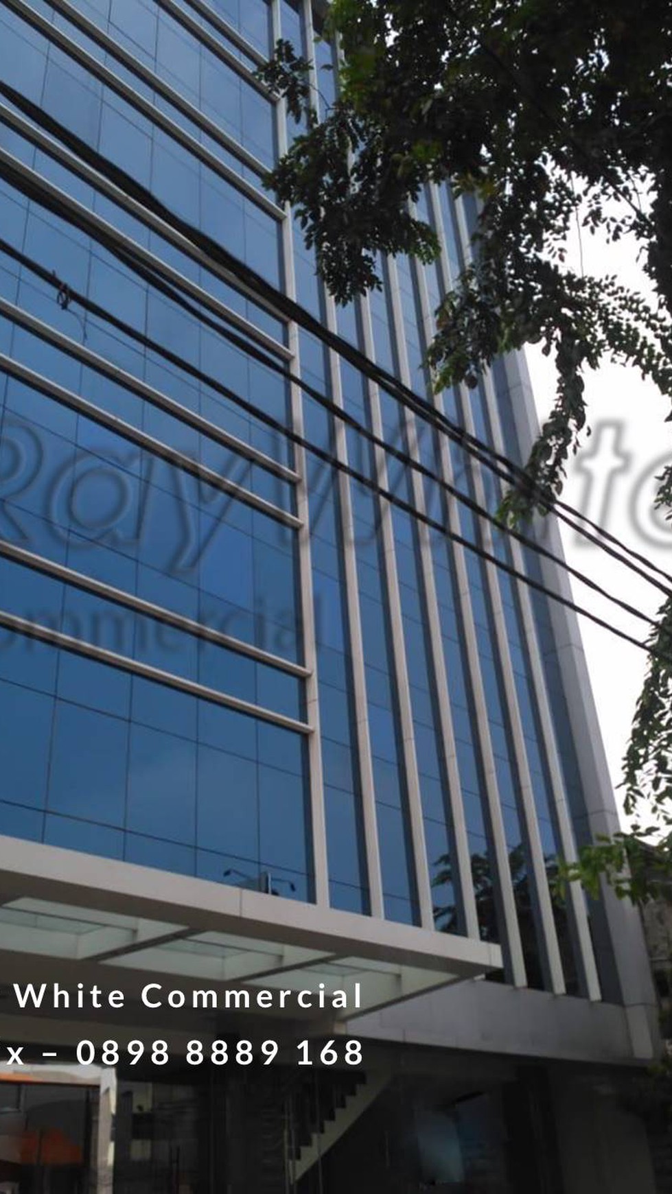 Gedung Baru Raden Saleh Cikini Menteng Area 6.5 Lantai Siap Pakai..