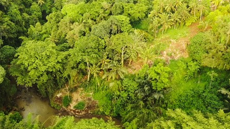  For Lease Jungle and River View Land Near Nuanu and Tanah Lot in Tabanan