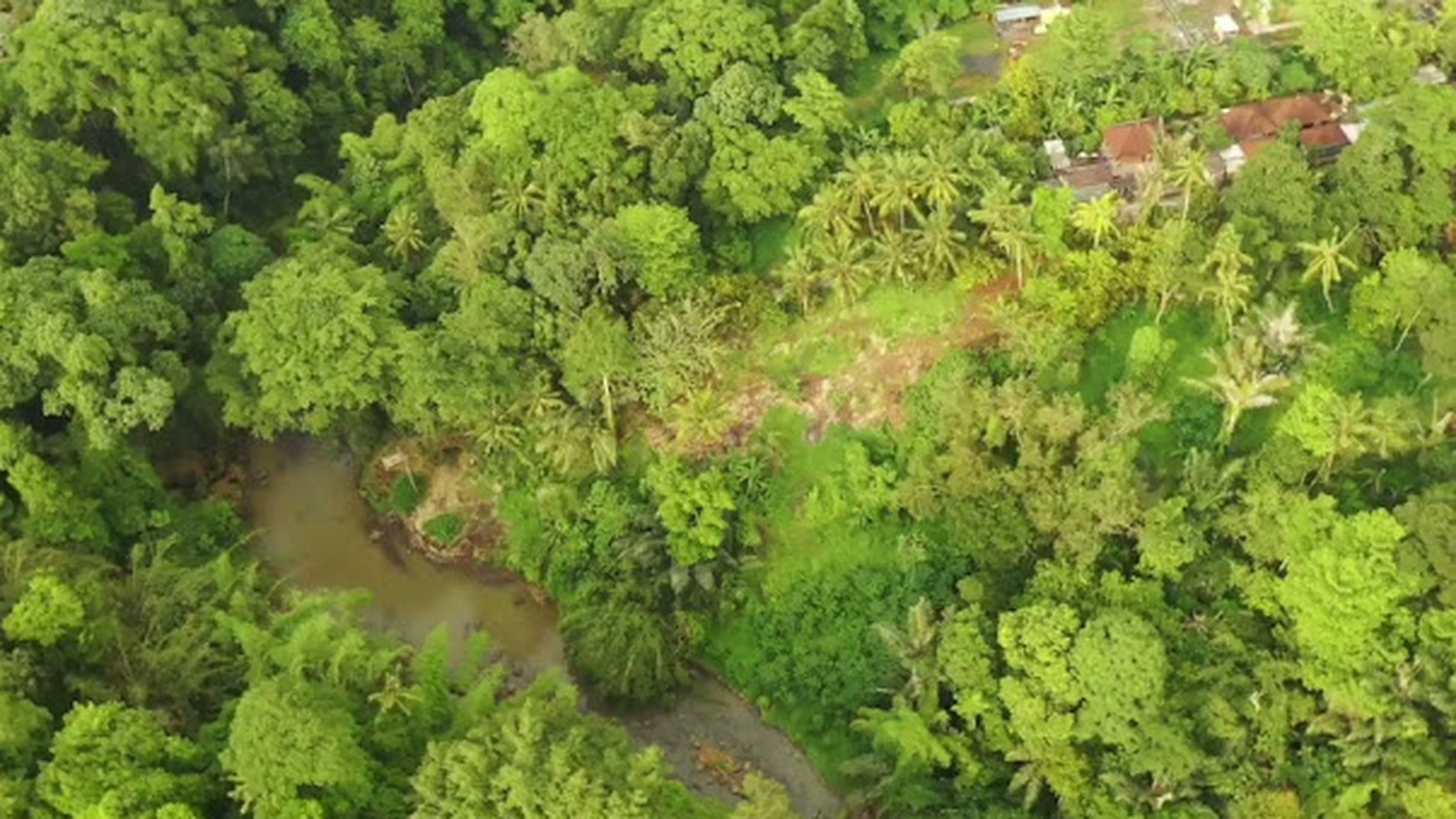  For Lease Jungle and River View Land Near Nuanu and Tanah Lot in Tabanan