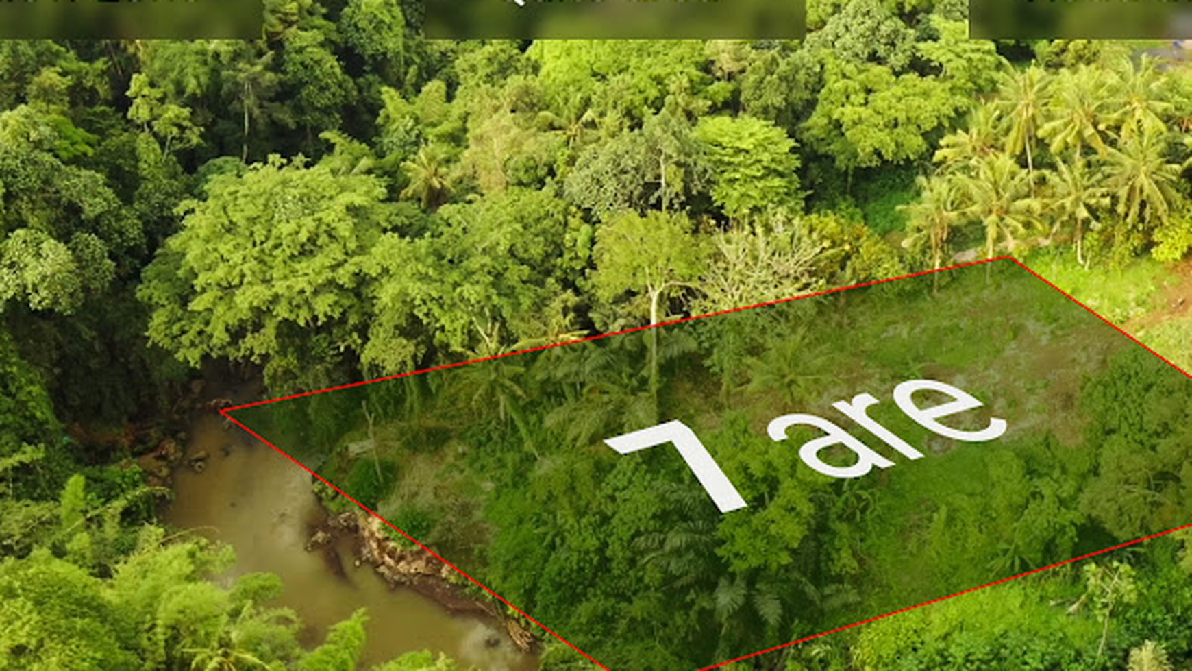  For Lease Jungle and River View Land Near Nuanu and Tanah Lot in Tabanan