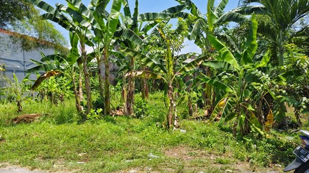 Tanah Pekarangan 350 Meter Persegi Dekat Kampus UMP Kembangan Banyumas Jawa Tengah