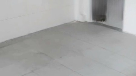 Rumah Kelapa Kopyor Raya, Kelapa Gading