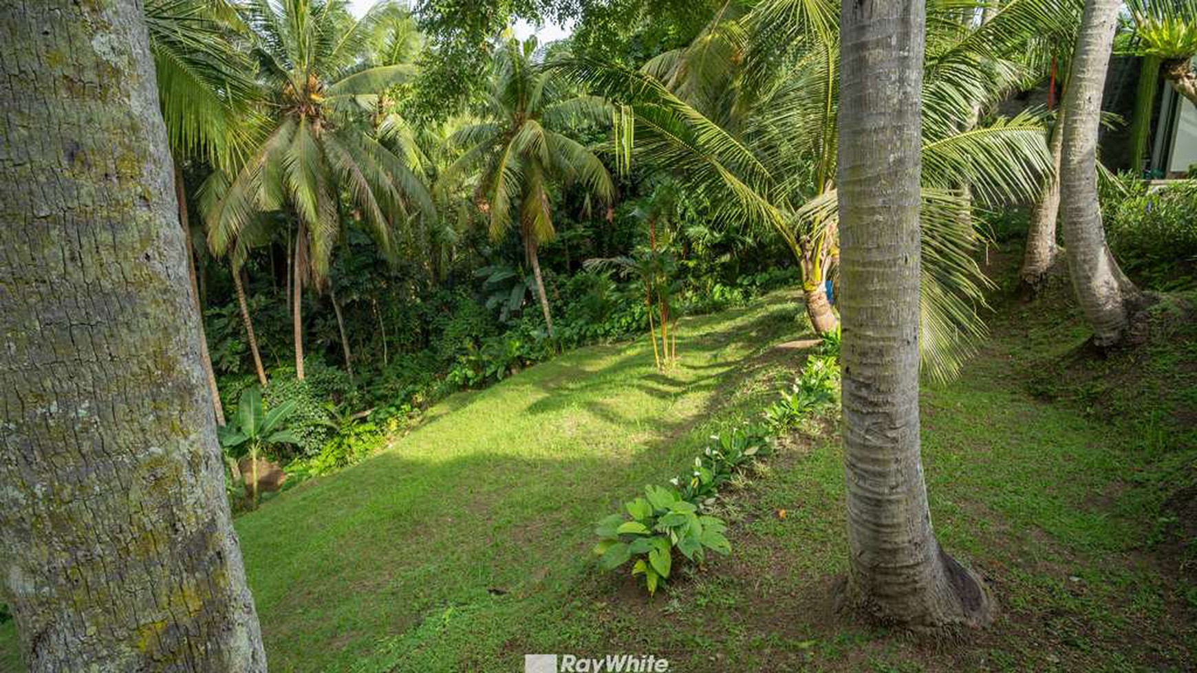 Stunning Ubud Leasehold Villa For Sale 