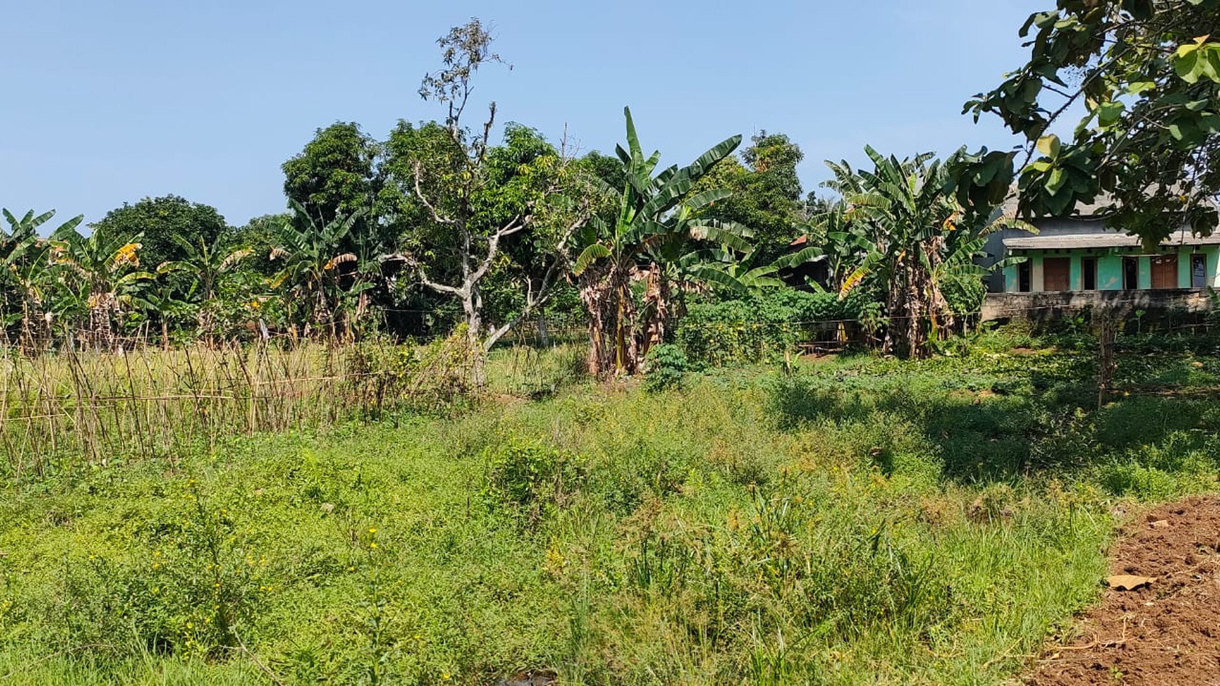 Tanah Di Pinggir Jalan Raya Dekat Telkom STO Cocok Untuk Investasi Di Daerah Ciseeng 