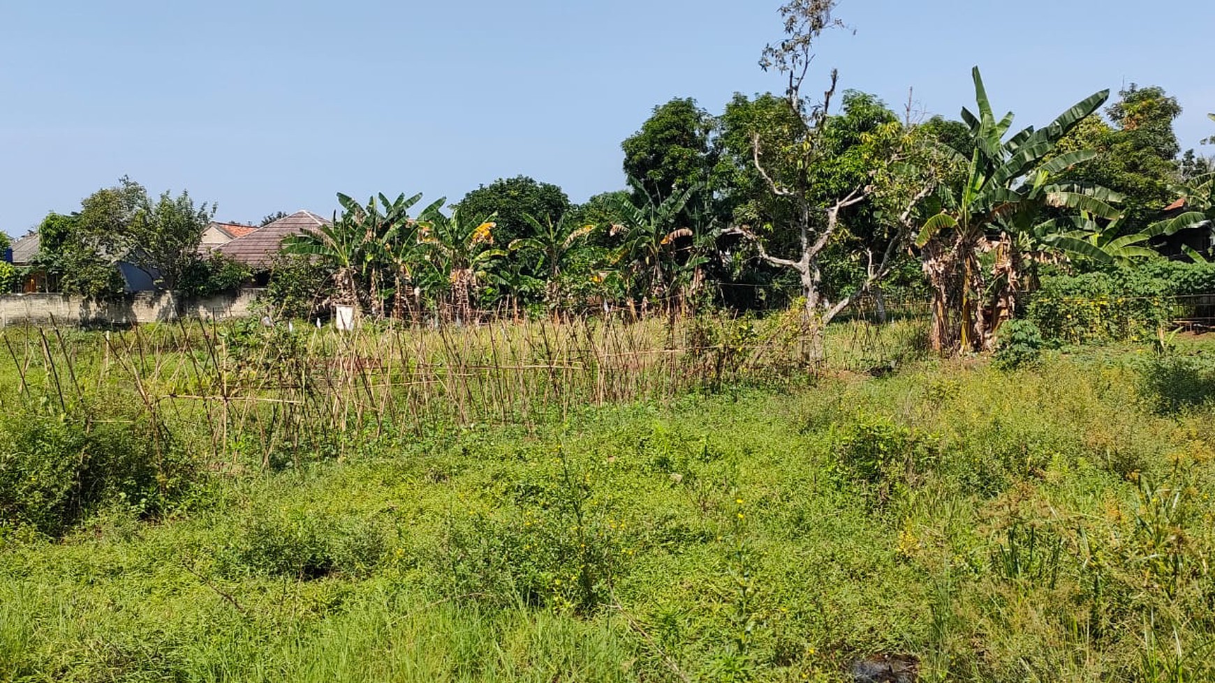 Tanah Di Pinggir Jalan Raya Dekat Telkom STO Cocok Untuk Investasi Di Daerah Ciseeng 