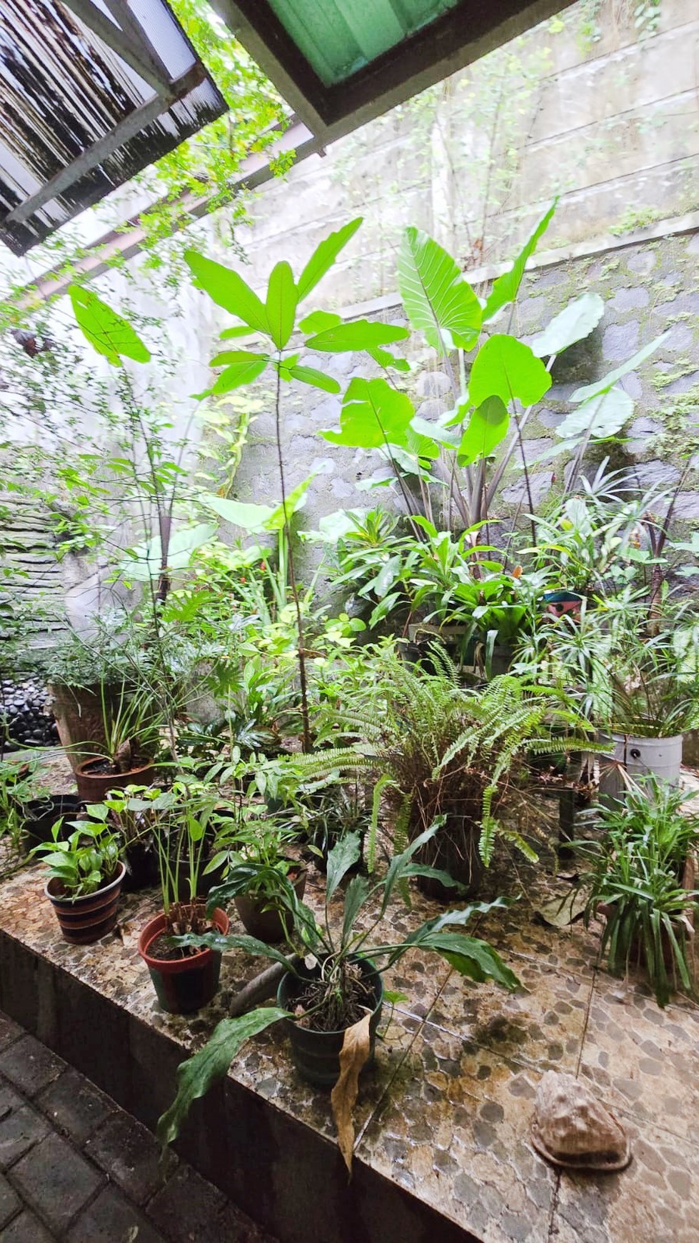 Rumah Bagus Dijual Cepat Gelagah Puri Town House Tangerang Selatan 20 menit ke MRT Lebak bulus Jakarta selatan