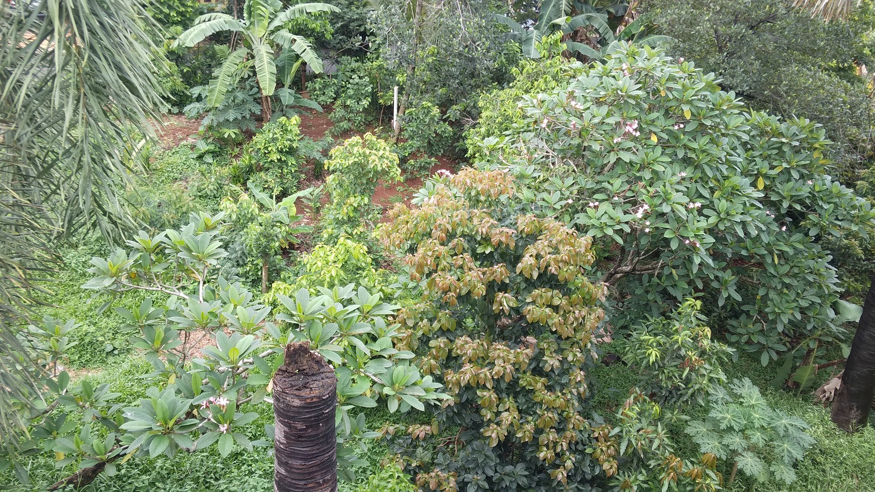 Rumah Hoek cantik siap huni di Citra Grand Cibubur dalam cluster harga nego