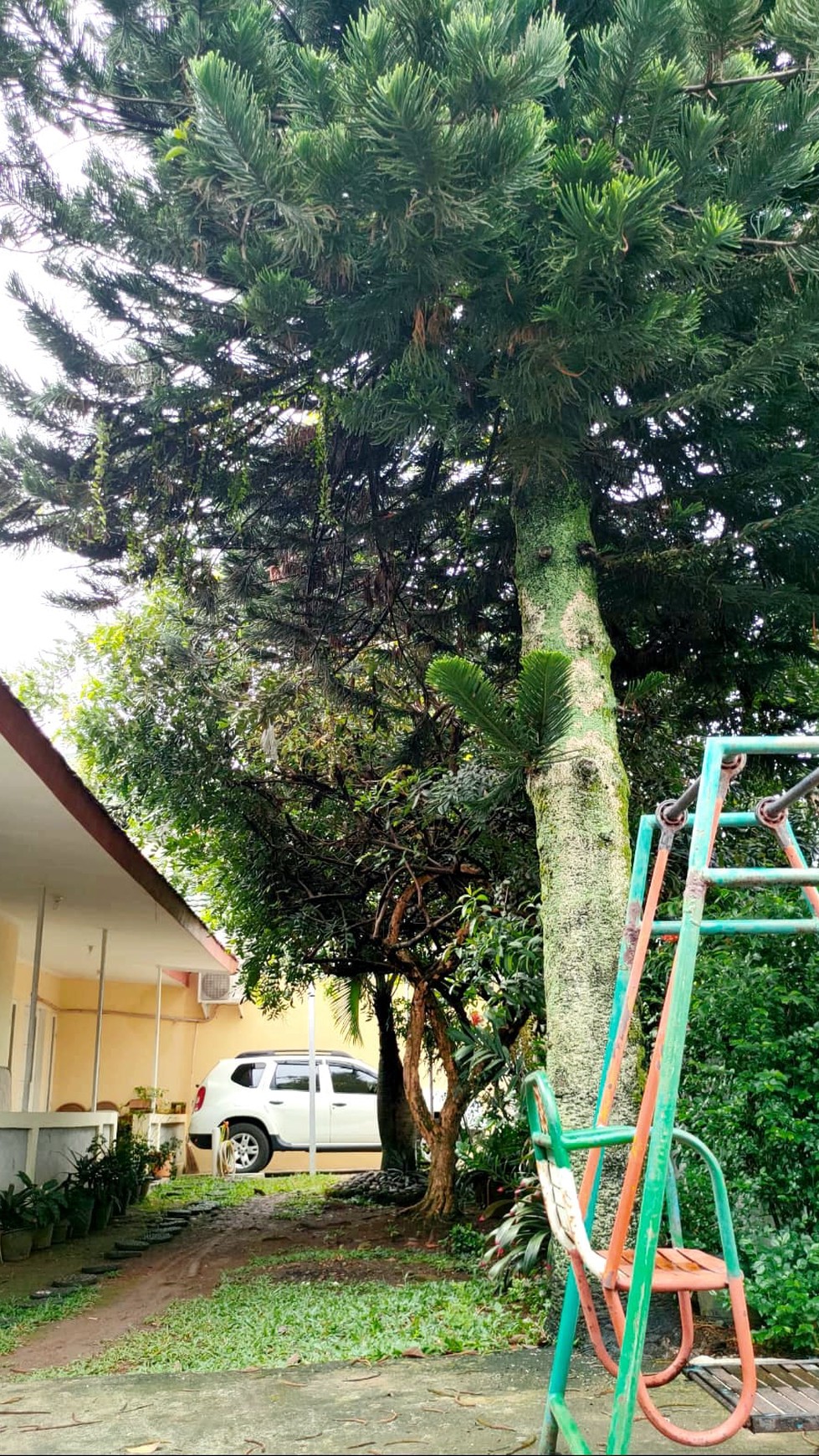Rumah 2 lantai bagus, rapih bebas banjir di Pondok Ranji