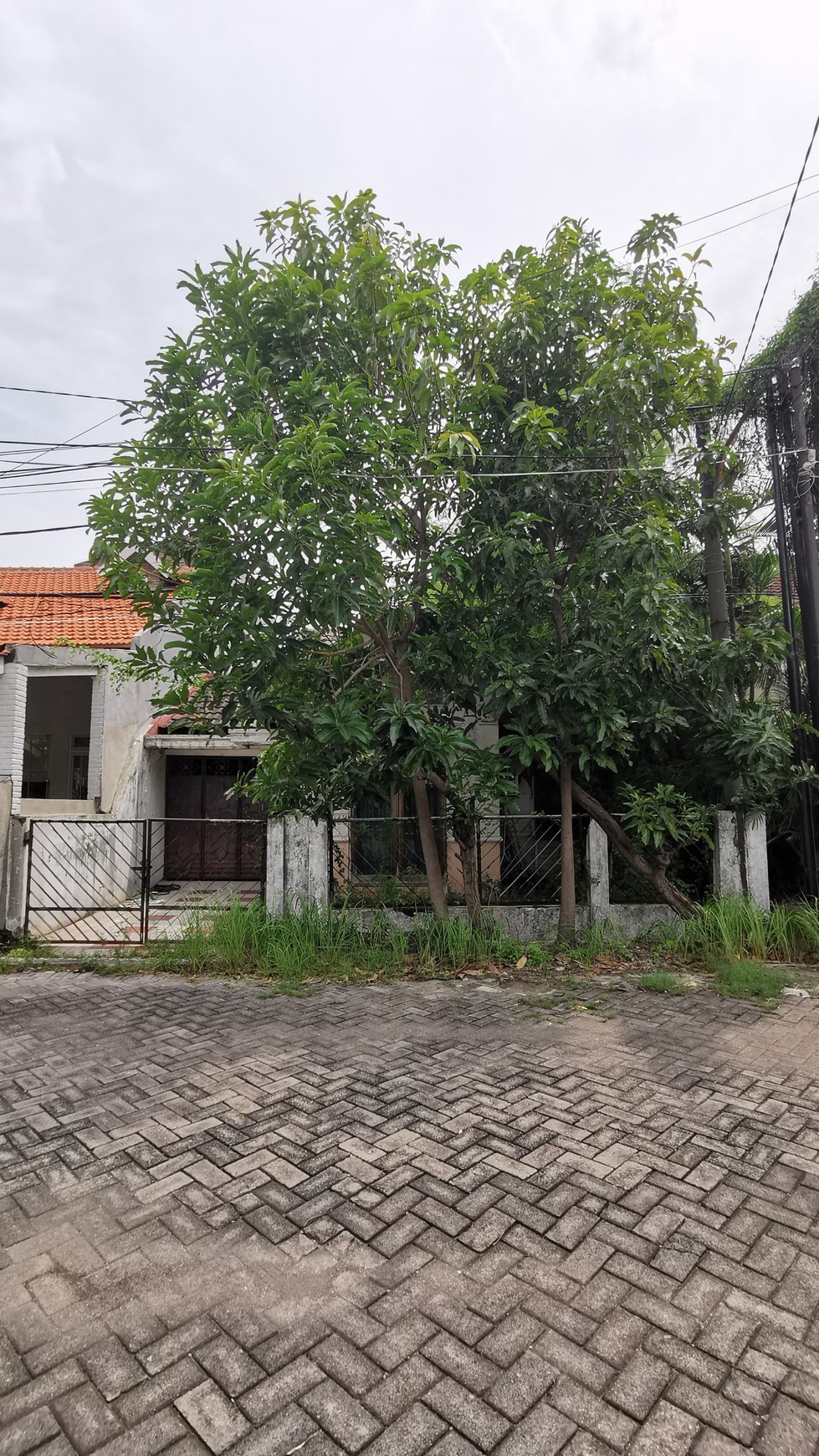 Rumah Hitung Tanah - Perum Wisma Indah Pandugo