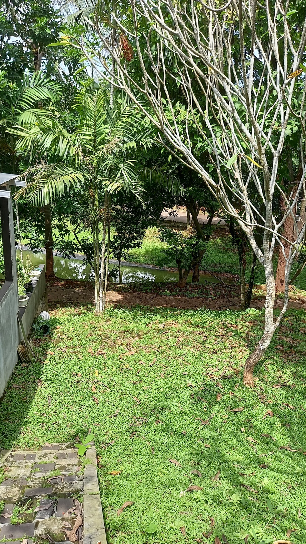 Rumah Citra Gran View Taman dan Akses Danau