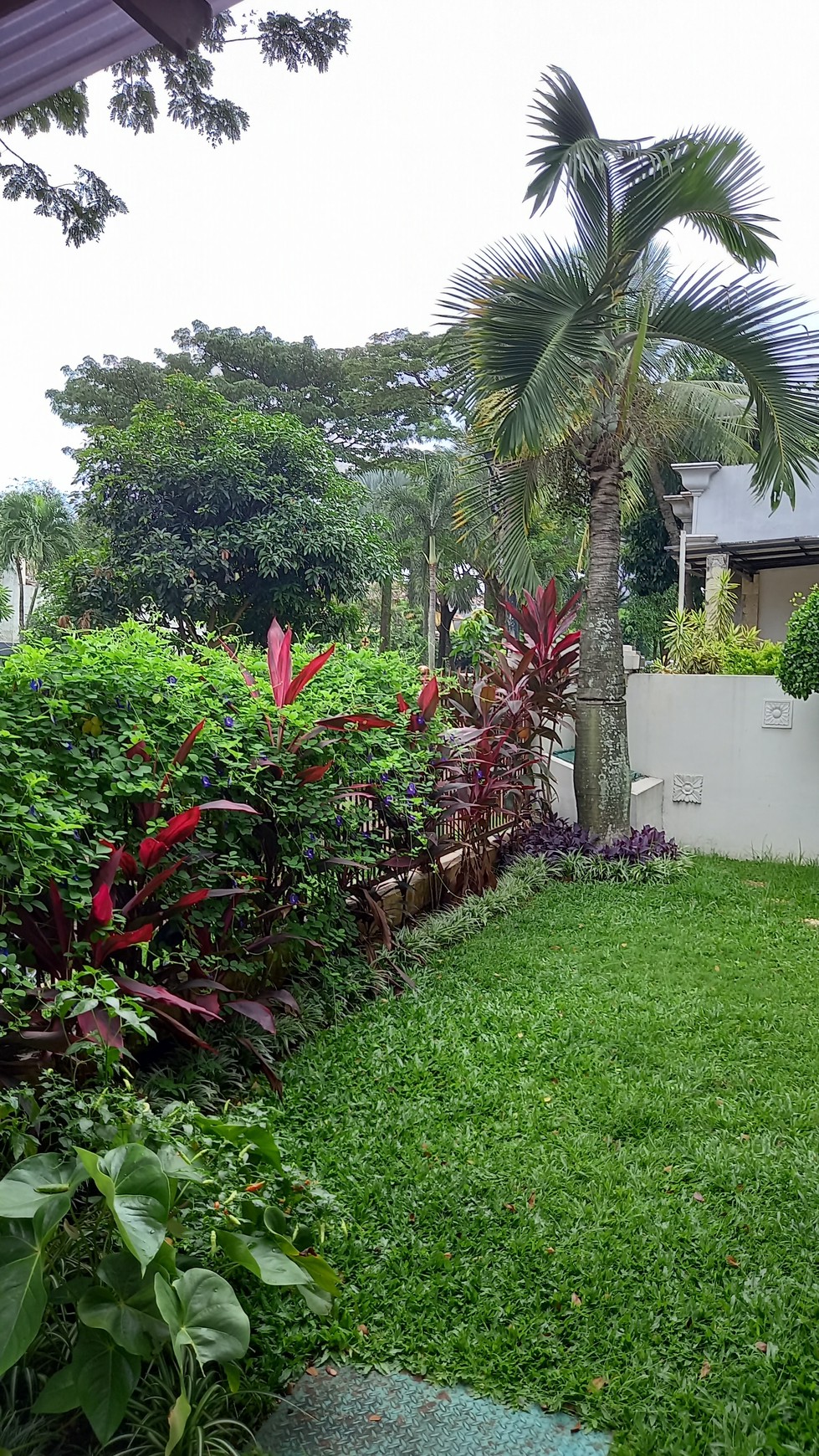 Rumah Citra Gran View Taman dan Akses Danau