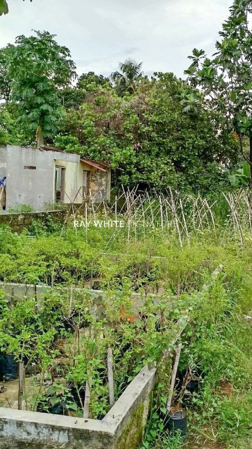 Tanah Strategis nol jalan Raya Dramaga Bogor dekat IPB