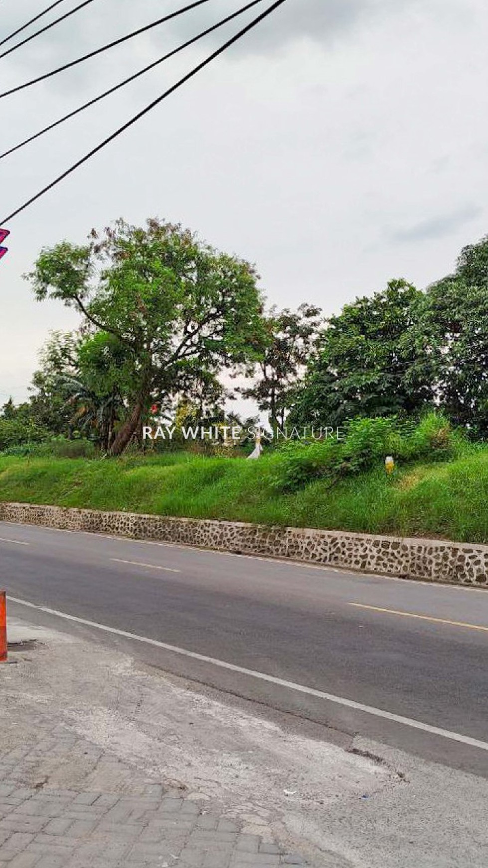 Tanah Strategis nol jalan Raya Dramaga Bogor dekat IPB