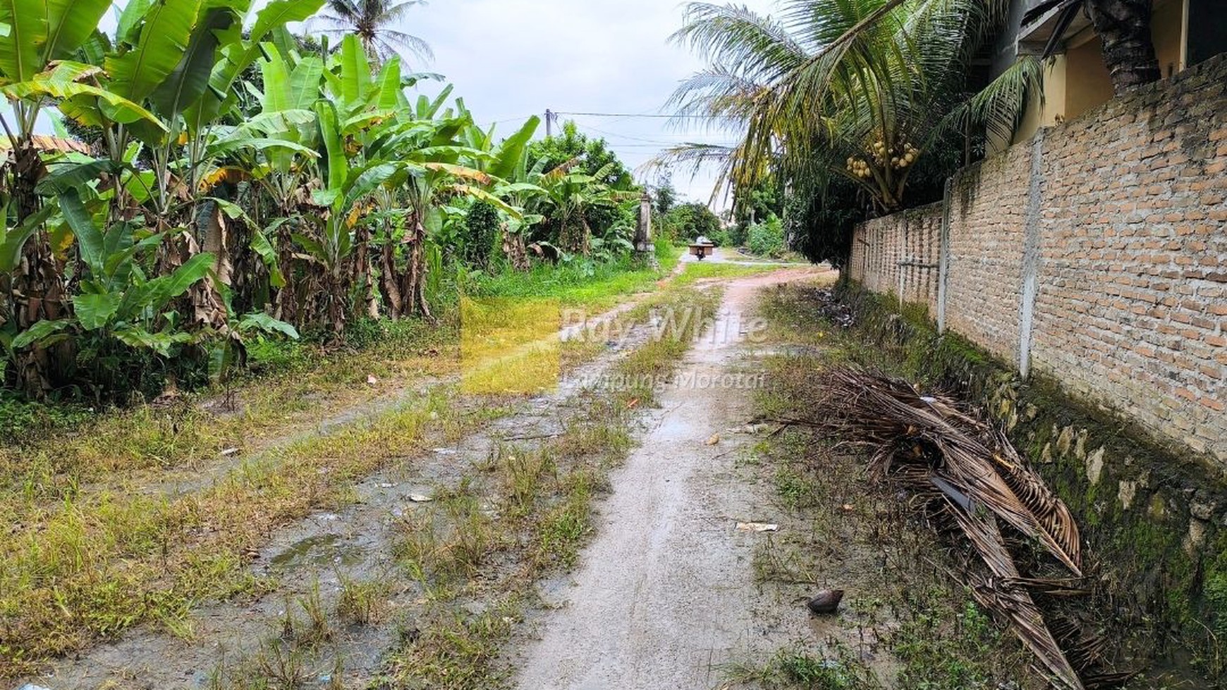 Dijual Cepat tanah lokasi natar