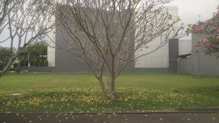 Jual cepat tanah kavling di sutera lavender alam sutera, dekat mall alam sutera tengah kota, siap bangun.