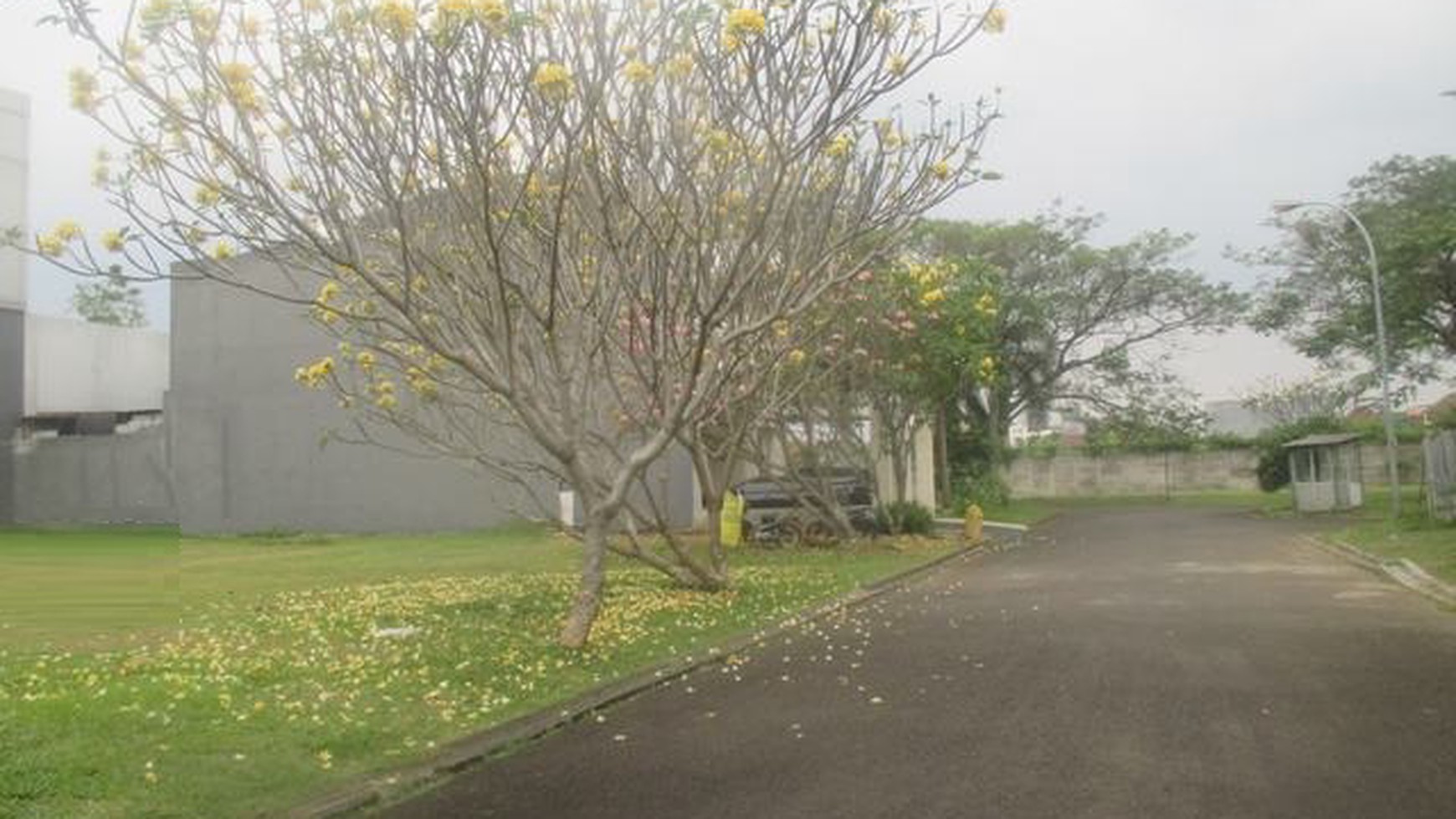 Jual cepat tanah kavling di sutera lavender alam sutera, dekat mall alam sutera tengah kota, siap bangun.