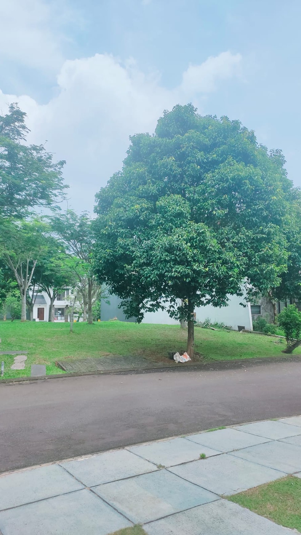 kavling hook di Avani Nittaya BSD