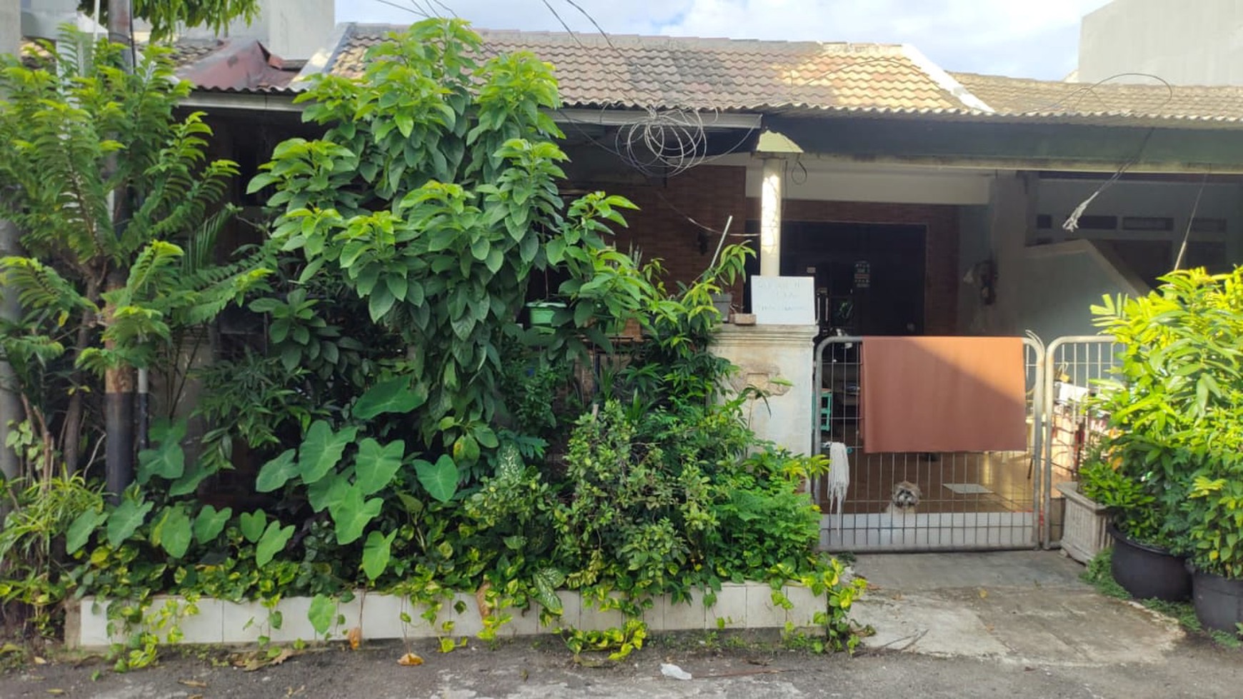 Rumah Siap Huni Lokasi Strategis di Griya Loka BSD 