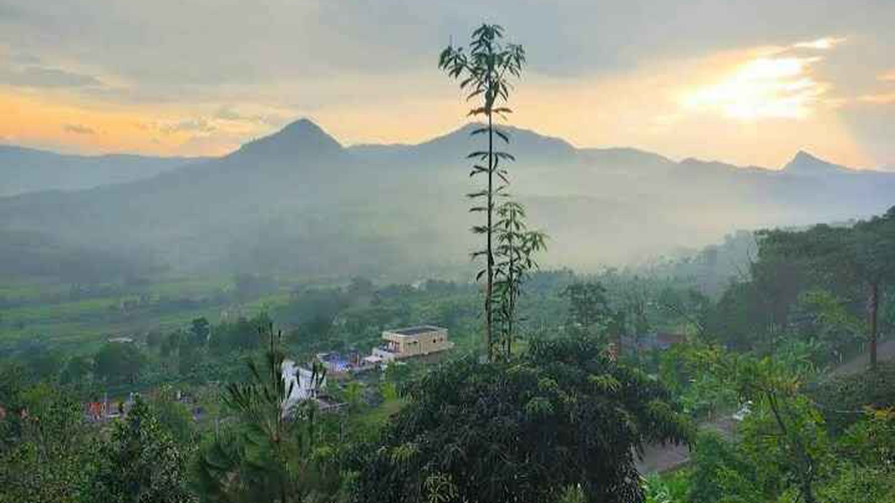 KAVLING PREMIUM DI NUANSA ALAM 2 PUNCAK 2 BOGOR TIMUR