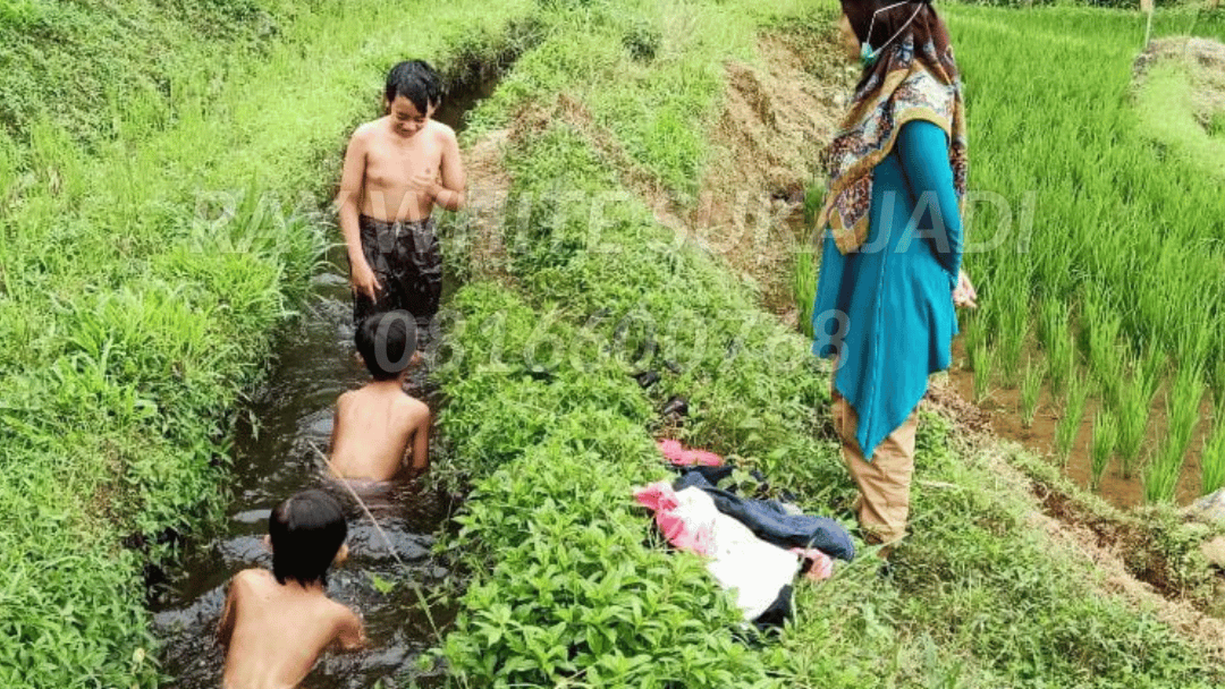 Tanah di Cianjur Cocok untuk sawah