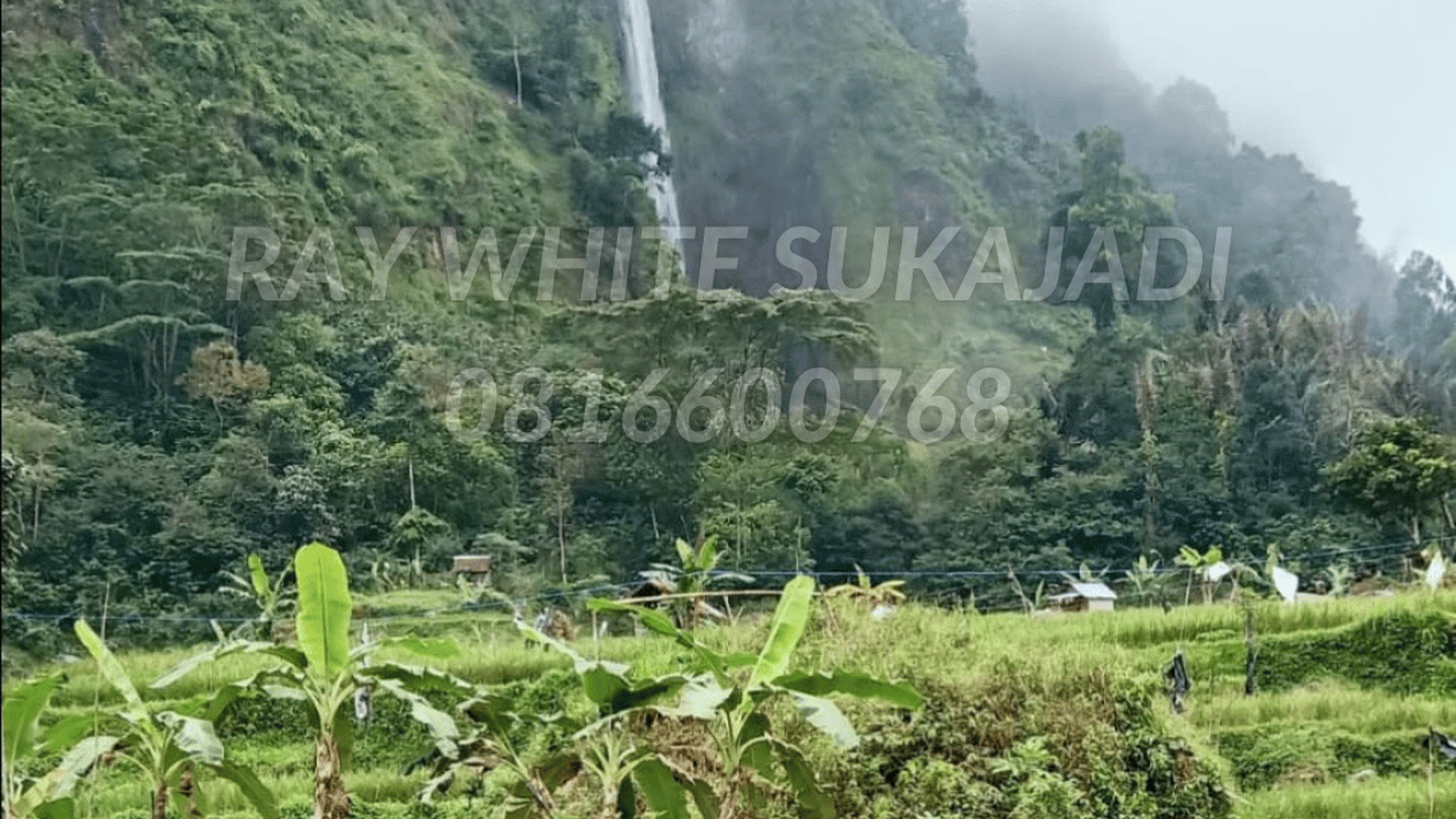 Tanah di Cianjur Cocok untuk sawah