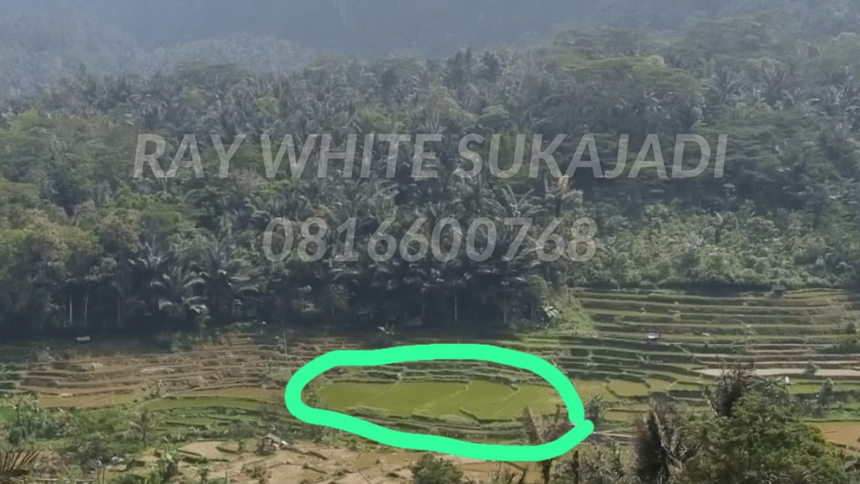 Tanah di Cianjur Cocok untuk sawah