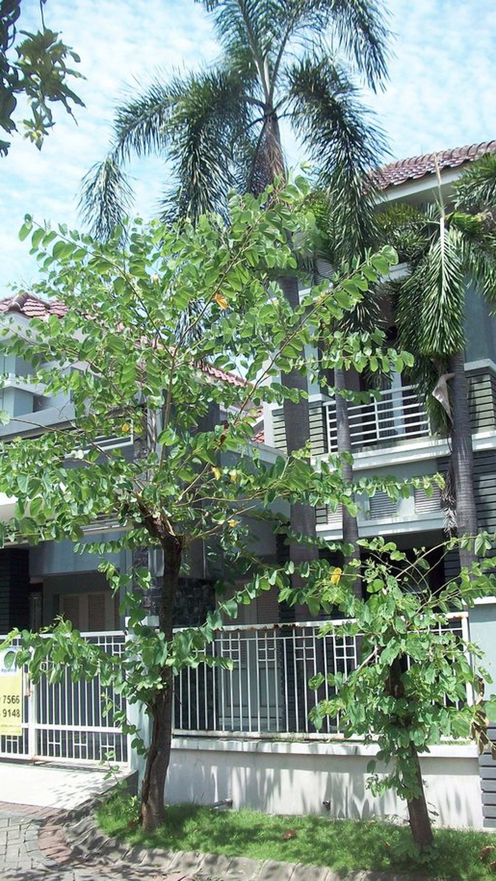 Rumah di Central Park A. Yani Surabaya Selatan, Minimalis, 2 Lantai, SIAP HUNI !!! - WNA -