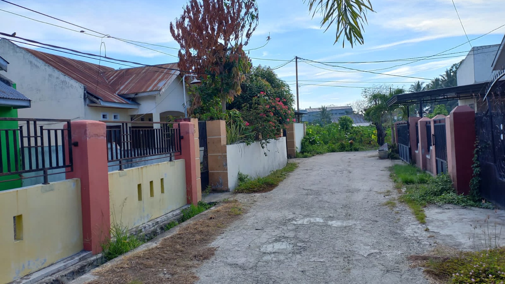 Rumah 1 lantai nego sampai deal