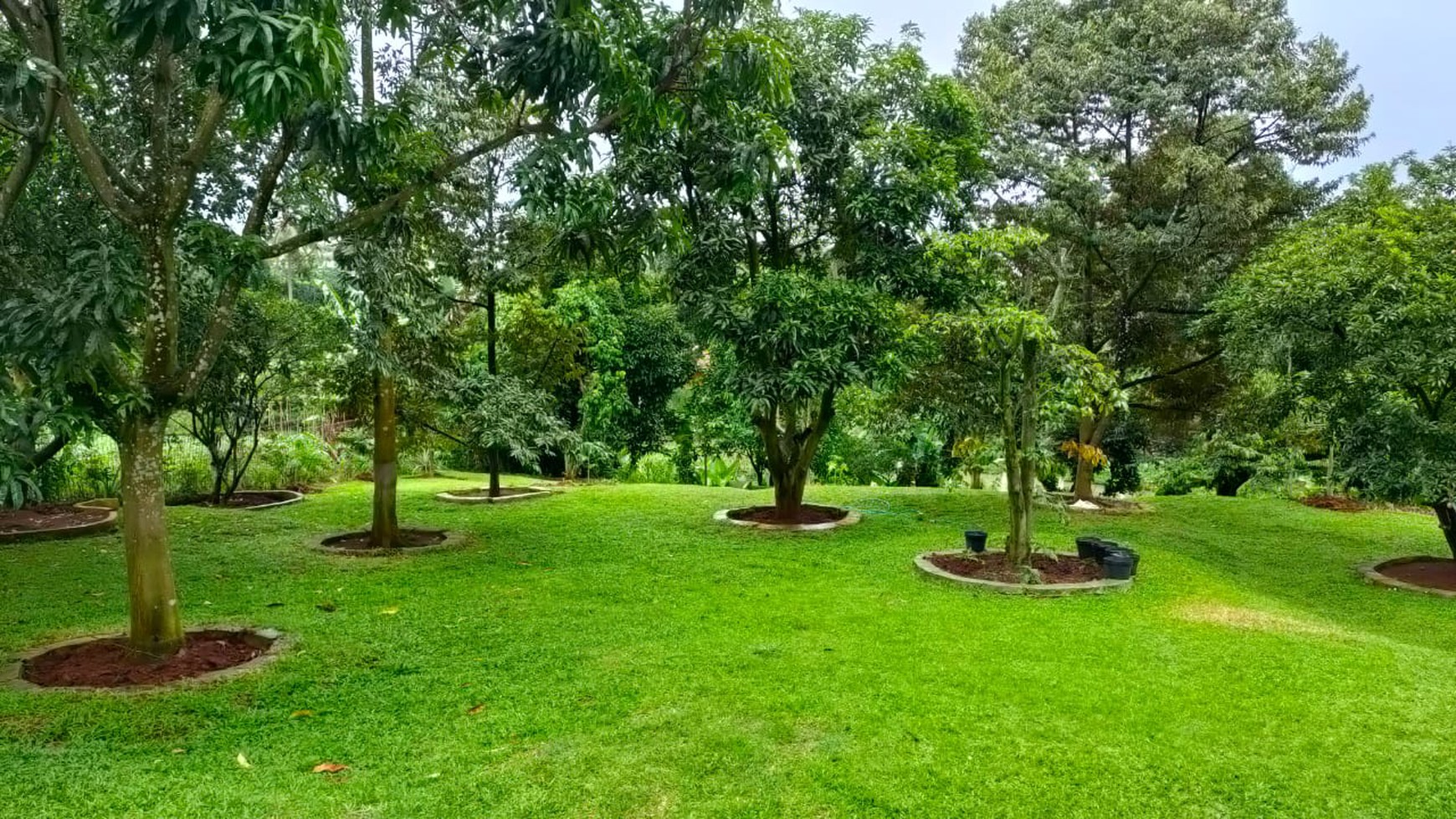 Rumah Billabong Parkview, Cimanggis Bojong Gede, Bogor