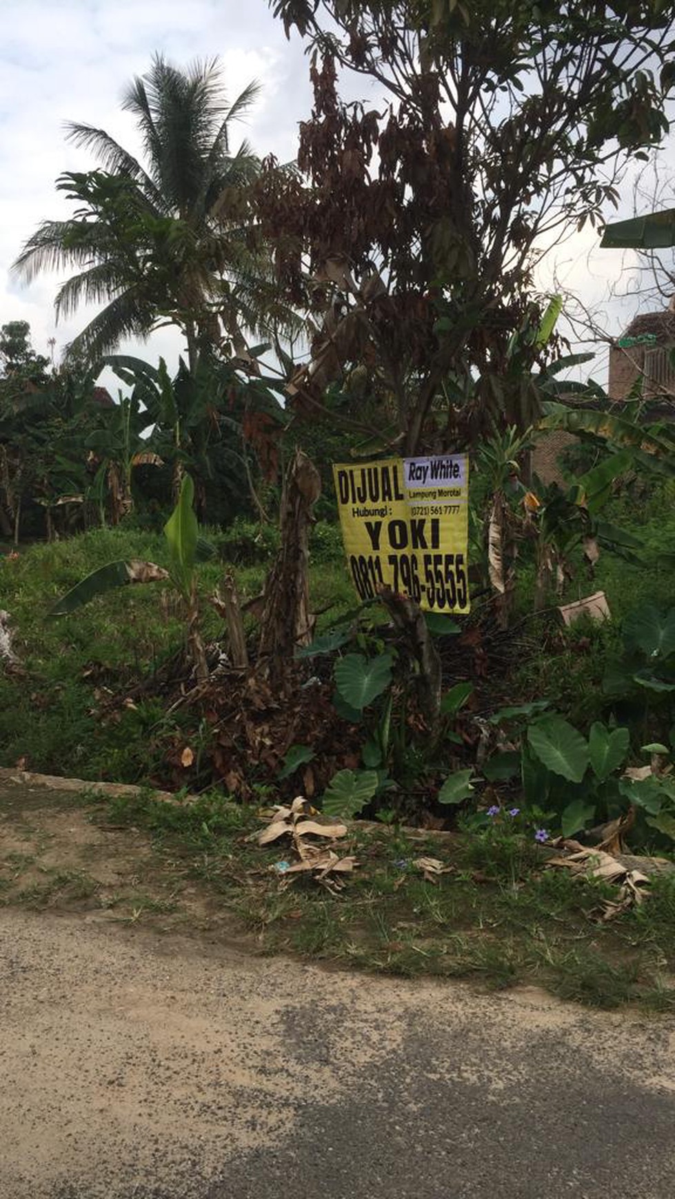 Tanah kosong di Jln. Bumi Manti Labuhan Ratu Kedaton Bandarlampung