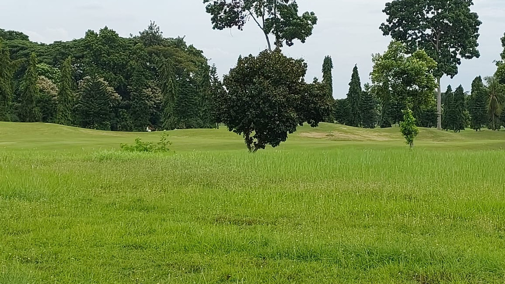 KAVLING CANTIK VIEW GOLF DI SUVARNA PADI CIKUPA - TANGERANG