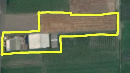 TANAH SAWAH DIATAS 1000 METER DAN BANGUNAN DI JL BOLO, KALASAN, SLEMAN