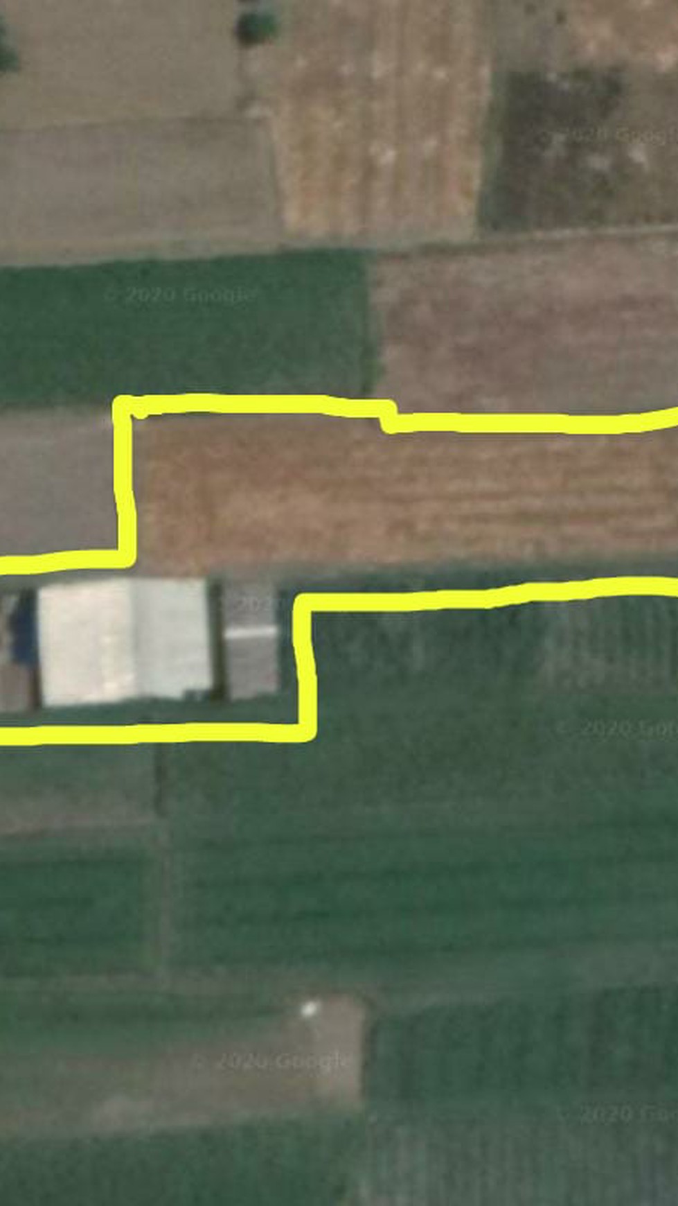 TANAH SAWAH DIATAS 1000 METER DAN BANGUNAN DI JL BOLO, KALASAN, SLEMAN