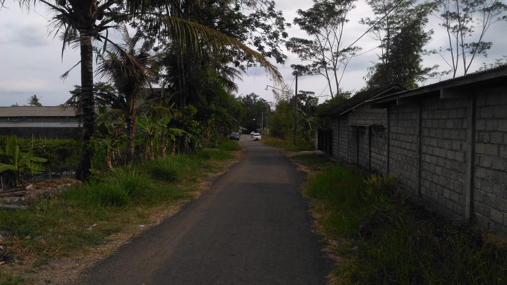 TANAH SAWAH DIATAS 1000 METER DAN BANGUNAN DI JL BOLO, KALASAN, SLEMAN