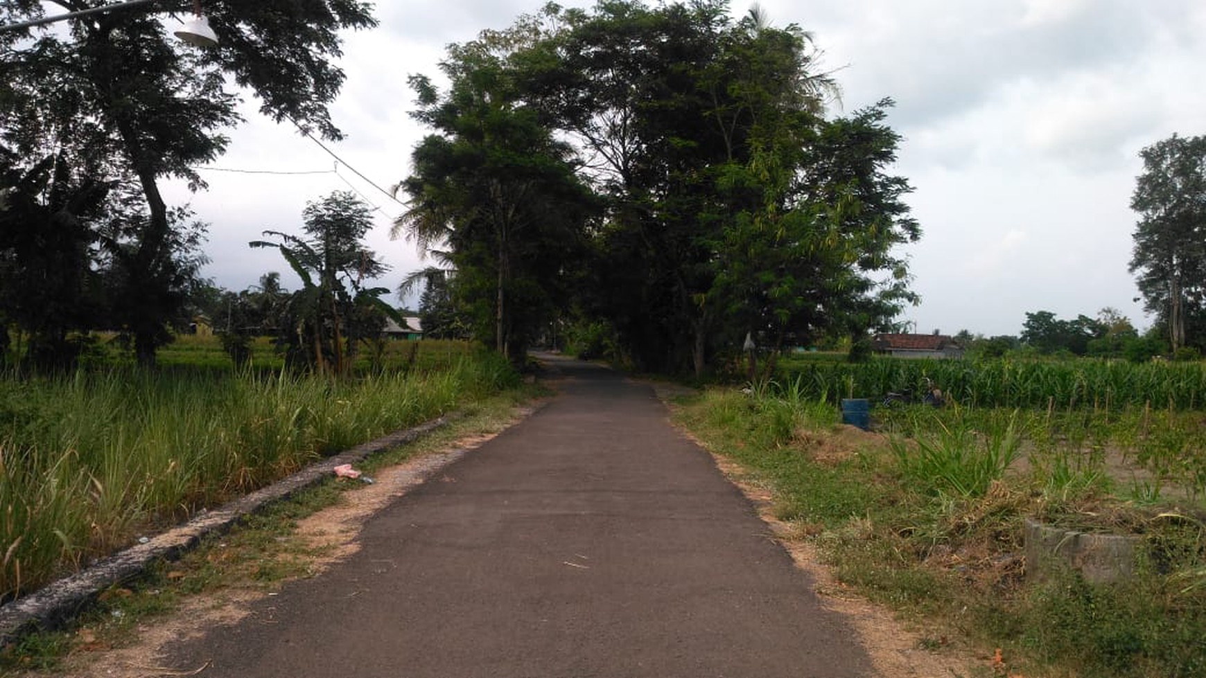 TANAH SAWAH DIATAS 1000 METER DAN BANGUNAN DI JL BOLO, KALASAN, SLEMAN