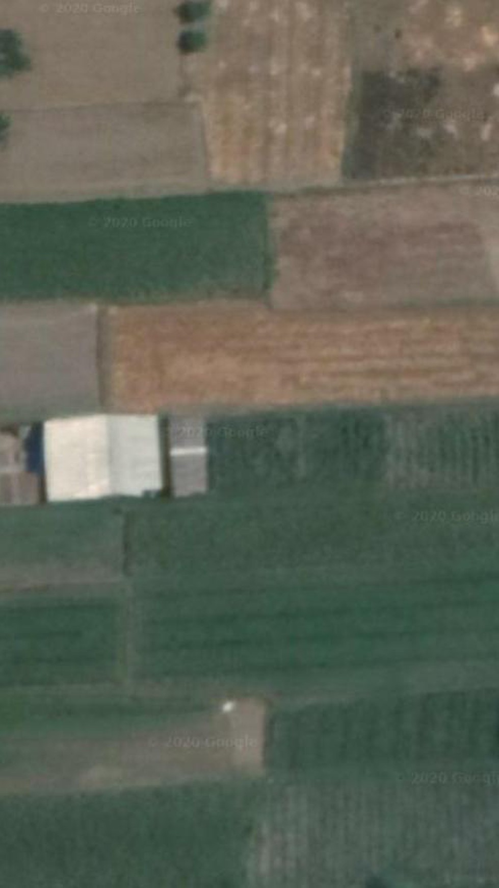 TANAH SAWAH DIATAS 1000 METER DAN BANGUNAN DI JL BOLO, KALASAN, SLEMAN