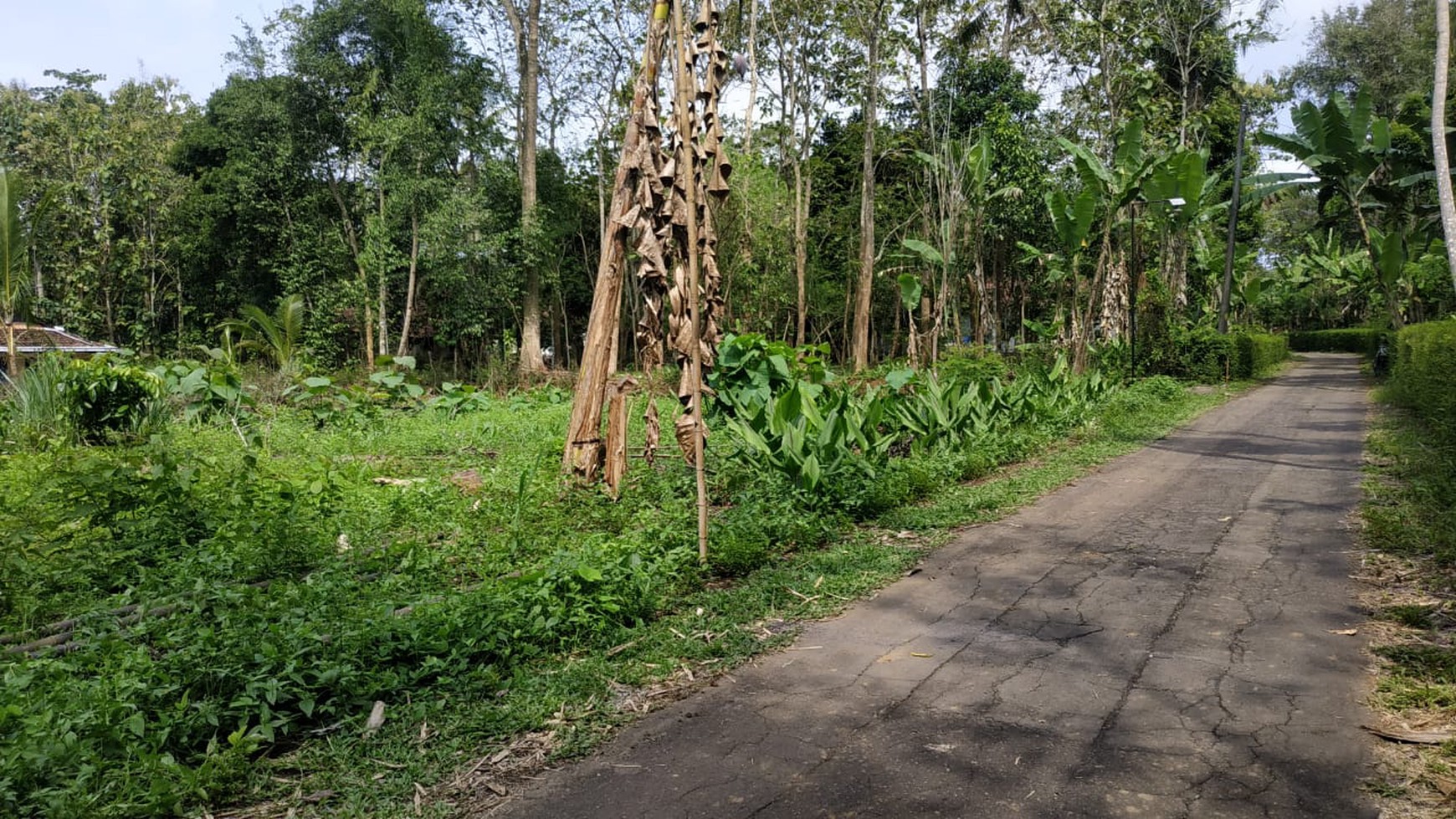 RUMAH SIAP BANGUN DIBAWAH 500 JUTA, JL SENTOLO-NANGGULAN, SLEMAN